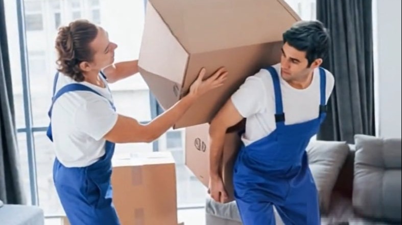 Asansörlü Taşımacılık Nakliye